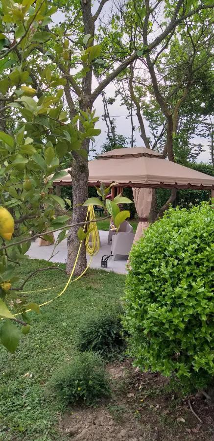 B&B Civico 58 Panocchia Dış mekan fotoğraf