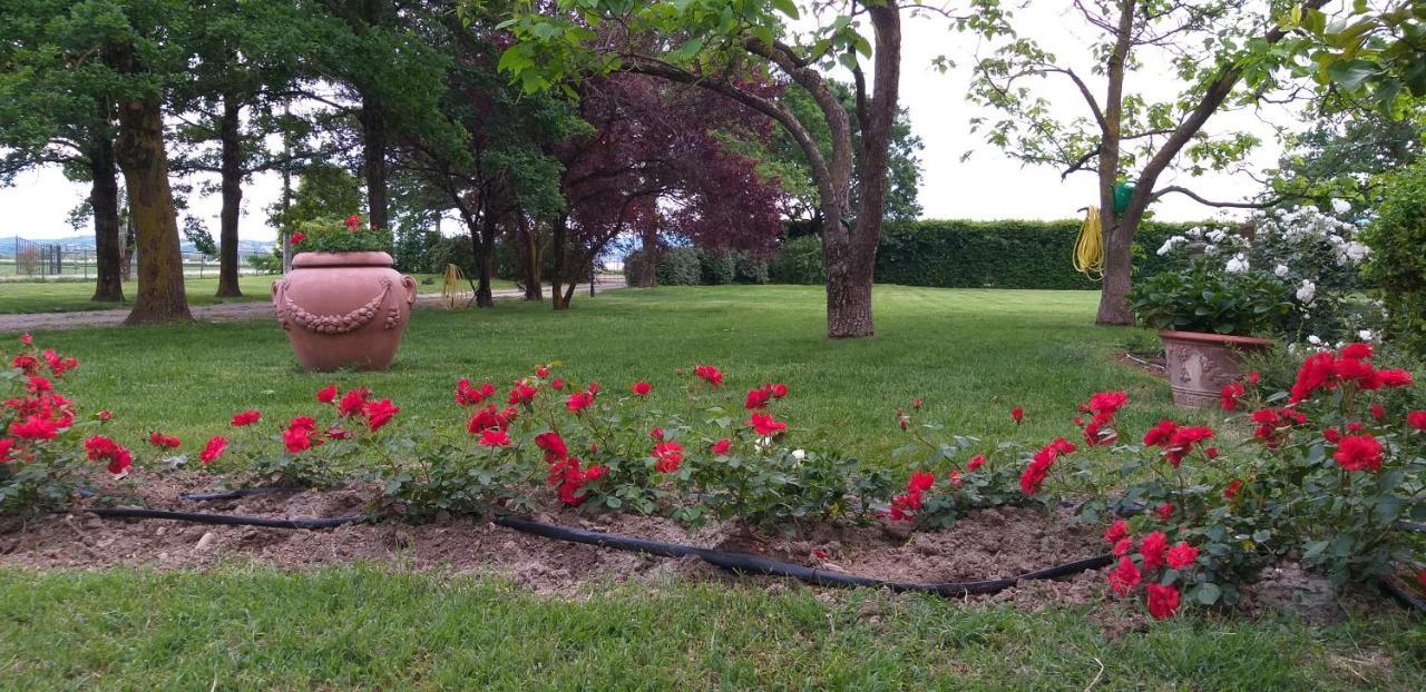 B&B Civico 58 Panocchia Dış mekan fotoğraf